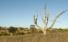 Enlarge photo 302