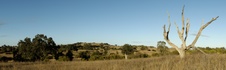 Enlarge photo 303