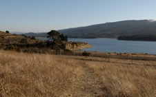 Enlarge photo 296