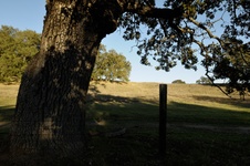 Enlarge photo 315