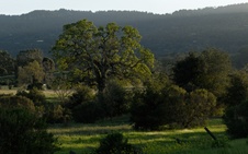 Enlarge photo 71