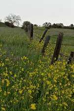 Enlarge photo 72