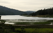 Enlarge photo 56