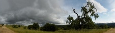 Enlarge photo 52