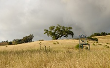 Enlarge photo 51