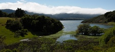 Enlarge photo 50