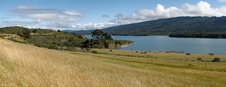 Enlarge photo 49