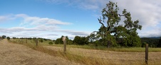 Enlarge photo 54