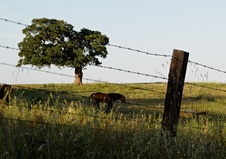 Enlarge photo 48