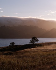 Enlarge photo 25