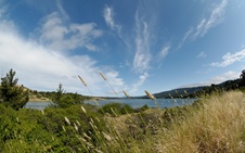 Enlarge photo 38