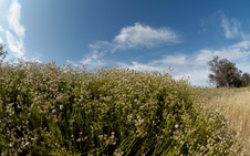 Enlarge photo 39