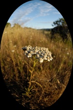 Enlarge photo 43