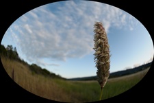 Enlarge photo 44