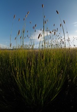 Enlarge photo 42