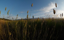 Enlarge photo 41