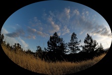 Enlarge photo 40