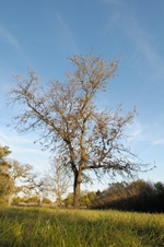 Enlarge photo 217