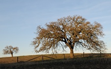 Enlarge photo 215
