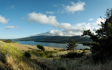 Enlarge photo 227