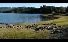 Enlarge photo 235