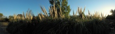 Enlarge photo 239