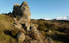 Enlarge photo 341