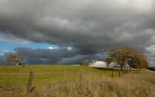 Enlarge photo 343