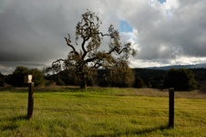 Enlarge photo 342
