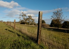 Enlarge photo 336