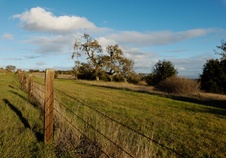 Enlarge photo 335