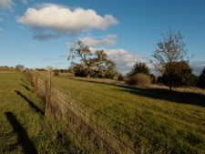 Enlarge photo 333