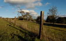 Enlarge photo 332