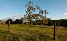 Enlarge photo 330