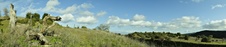 Enlarge photo 328