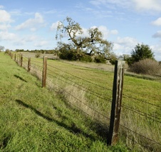 Enlarge photo 327