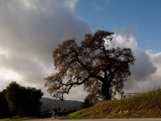 Enlarge photo 326