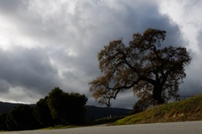Enlarge photo 325