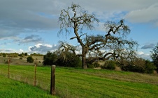 Enlarge photo 92