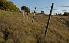Enlarge photo 79