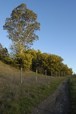 Enlarge photo 87