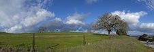 Enlarge photo 88
