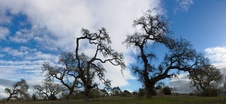 Enlarge photo 89
