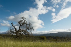 Enlarge photo 190