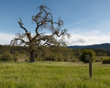 Enlarge photo 188