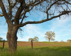 Enlarge photo 191