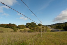Enlarge photo 199