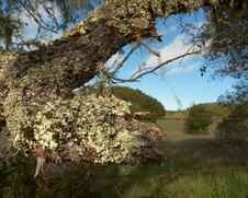 Enlarge photo 198