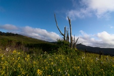 Enlarge photo 201
