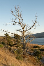 Enlarge photo 167